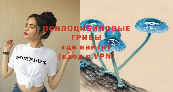 mdpv Верея